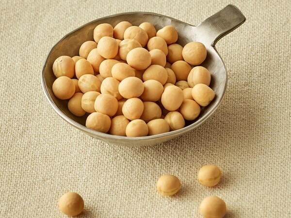 “罪悪感ゼロ”の豆パスタスナックに新フレーバー登場。野菜のおいしさをぎゅっと！「ZENBパスタスナック コンソメ味」を新発売