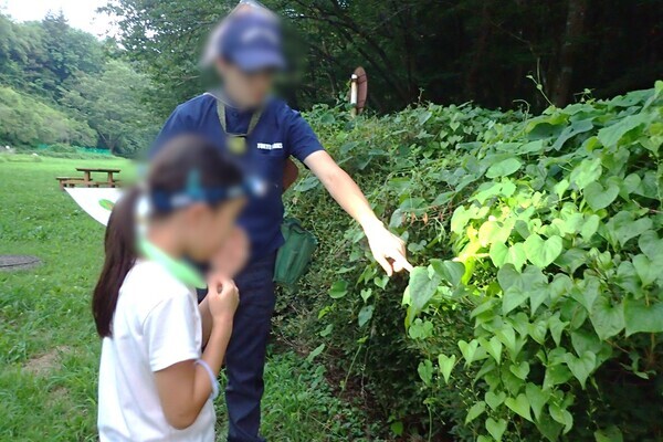 「夏休みプレミアムガイドウォーク　夕暮れからはじまる自然観察＆明かりを消して夜空を眺めよう！」小峰公園で8月23日(土)開催