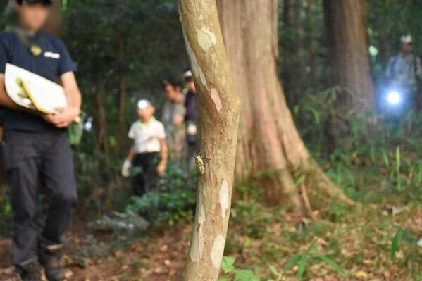 「夏休みプレミアムガイドウォーク　夕暮れからはじまる自然観察＆明かりを消して夜空を眺めよう！」小峰公園で8月23日(土)開催