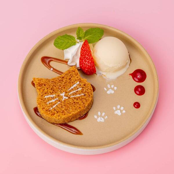 ニュウマン横浜に猫グッズが大集合！「カナガワキャットカーニバル2025」開催！【期間：2025年2月2日(日)～2月28日(金)】