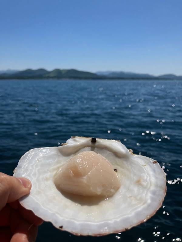 祝！SAKE COMPETITIONモダンナチュラル部門　第1位獲得　ラ・ロシェル南青山が贈る日本酒の会　第6弾 青森県・西田酒造店「田酒」とフレンチのコラボディナー開催