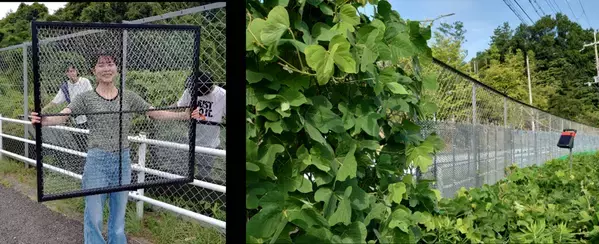 世界初！静電気の技術を活用した設置型雑草抑制装置　「WCP（Weed Control Panel）」を産学連携で共同開発