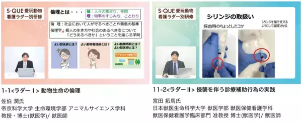 eラーニングで学ぶ『S-QUE愛玩動物看護ラダー別研修』が９月より提供開始となります！これに先駆けて、8月1日より無料お試しのご利用がスタートします！