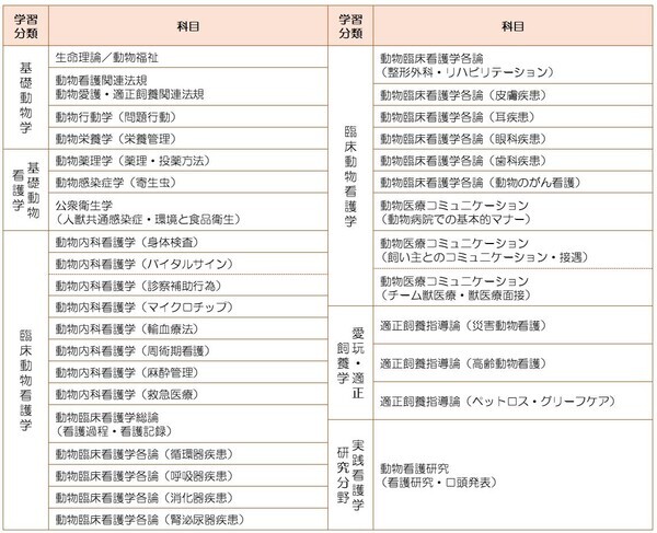eラーニングで学ぶ『S-QUE愛玩動物看護ラダー別研修』が９月より提供開始となります！これに先駆けて、8月1日より無料お試しのご利用がスタートします！