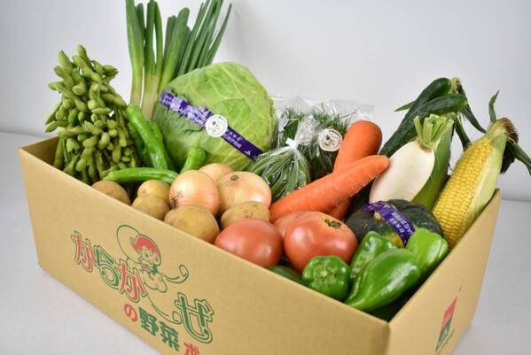 「ＪＡタウン」のショップ「新鮮ぐんまみのり館」で リニューアルオープン４周年記念キャンペーン開催！ 対象商品最大１０％OFF！抽選で４名様に商品引換クーポンプレゼント！