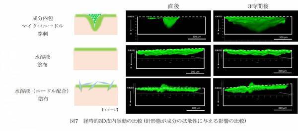ヒアルロン酸Naマイクロニードルによる皮内深くに成分を届ける性能を3D可視化