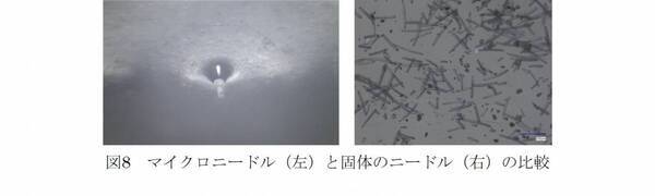 ヒアルロン酸Naマイクロニードルによる皮内深くに成分を届ける性能を3D可視化