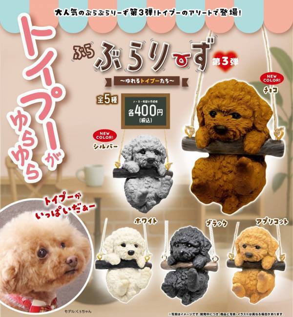 TikTok再生22万回突破！　カプセルトイ「ぶらぶらりーず」第3弾決定。トイプー推しの夢叶う