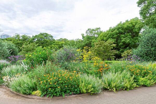 都立公園を花の魅力で彩るガーデンデザインコンテスト「第４回 東京パークガーデンアワード＠夢の島公園」の作品募集を開始します！