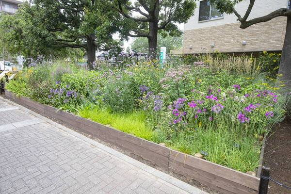 都立公園を花の魅力で彩るガーデンデザインコンテスト「第４回 東京パークガーデンアワード＠夢の島公園」の作品募集を開始します！