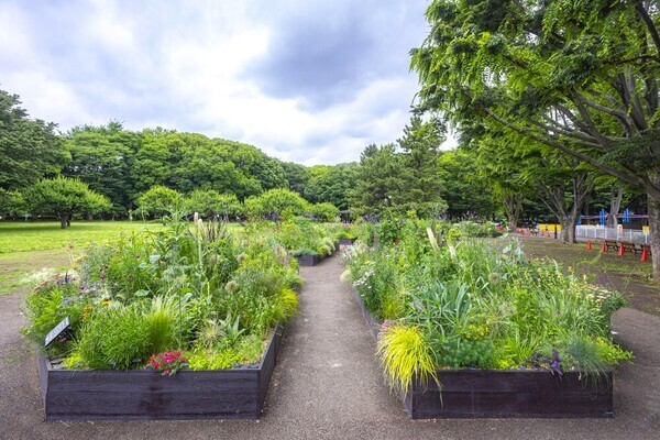 都立公園を花の魅力で彩るガーデンデザインコンテスト「第４回 東京パークガーデンアワード＠夢の島公園」の作品募集を開始します！