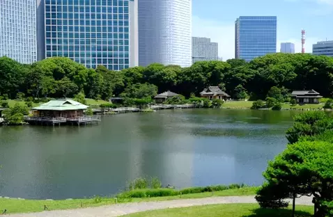 ７月26日（土）～８月28日（木）都立９庭園で「夏のいい庭キャンペーン！」を開催！