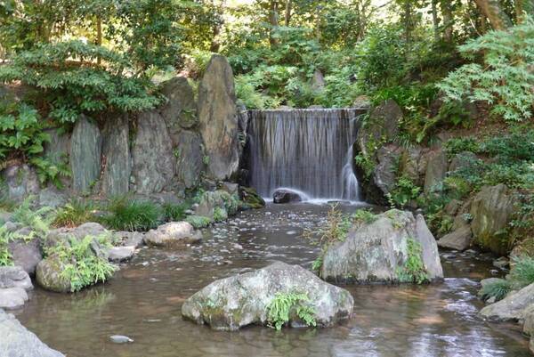 ７月26日（土）～８月28日（木）都立９庭園で「夏のいい庭キャンペーン！」を開催！