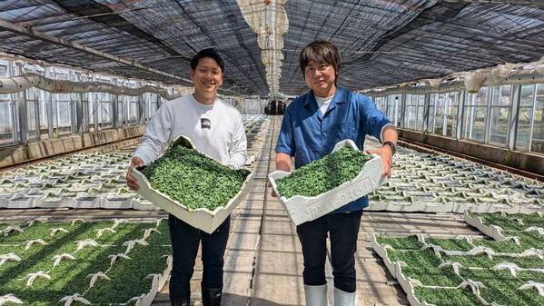 都市部の中学生を対象とした7日間の未来探求スクール 「Blue Family Project.」in富山の地域パートナーを発表