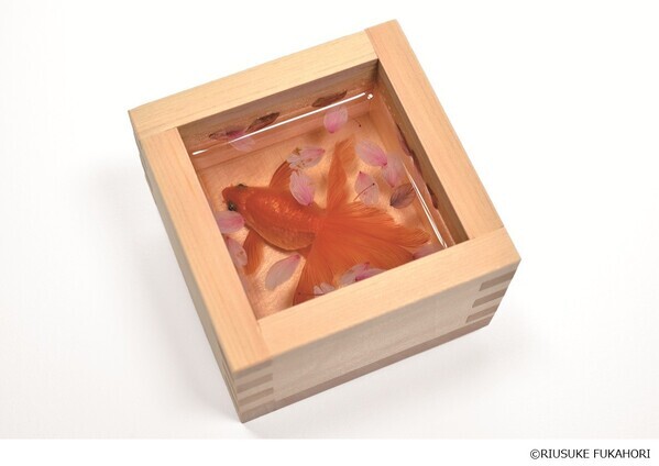 【大阪会場開幕】深堀隆介展　水面のゆらぎの中へ　世界に一つ！“金魚酒“新作を特別販売！