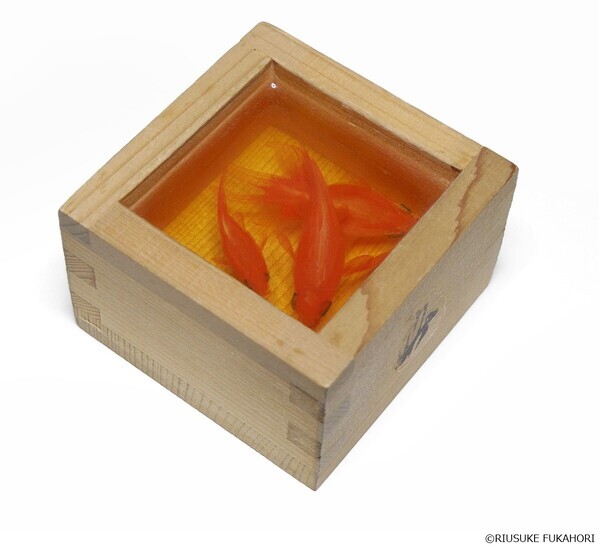 【大阪会場開幕】深堀隆介展　水面のゆらぎの中へ　世界に一つ！“金魚酒“新作を特別販売！