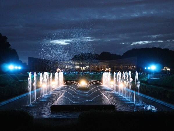 【“幻の花”サガリバナと夜空を彩るバブルミネーション 】神代植物公園「大温室夜間公開」を開催！（７月20日・21日）