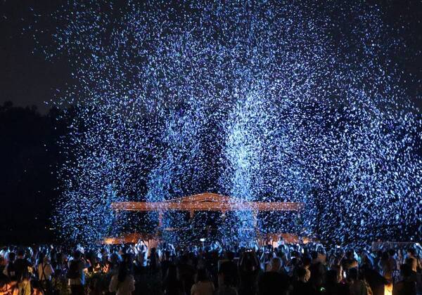 【“幻の花”サガリバナと夜空を彩るバブルミネーション 】神代植物公園「大温室夜間公開」を開催！（７月20日・21日）