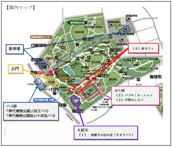 【“幻の花”サガリバナと夜空を彩るバブルミネーション 】神代植物公園「大温室夜間公開」を開催！（７月20日・21日）