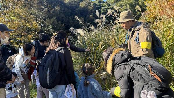【オンライン参加者募集中】都立公園や水辺等で活躍するボランティア団体による発表「令和6年度ボランティア活動報告会」を2/22(土)に実施します