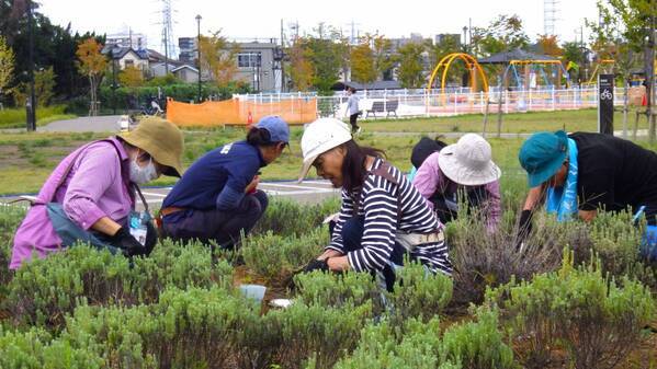 【オンライン参加者募集中】都立公園や水辺等で活躍するボランティア団体による発表「令和6年度ボランティア活動報告会」を2/22(土)に実施します