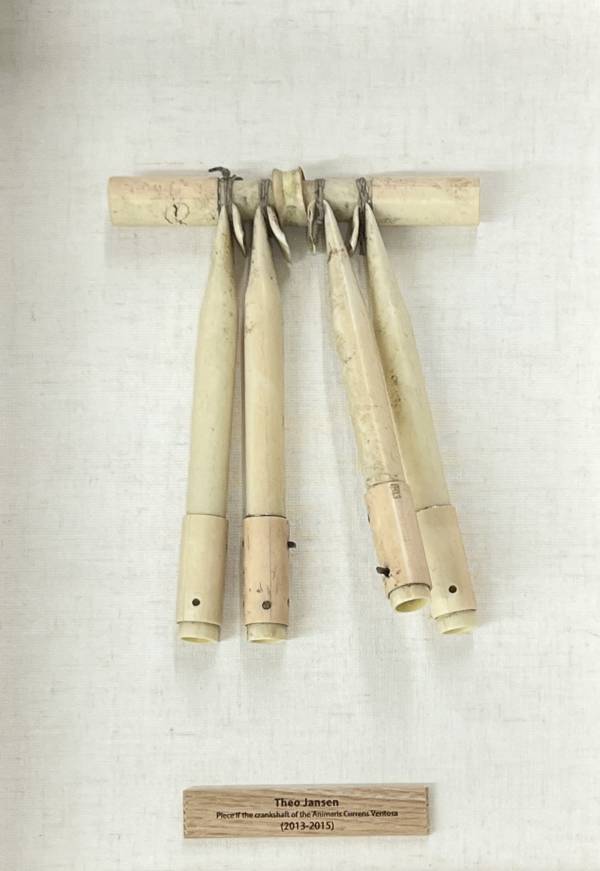 「ストランドビースト」の制作過程が覗けるスケッチ展　テオ・ヤンセン『Fossielen en Schetsen Kinetische Esthetiek 』1月17日より29日までMEDEL GALLERY SHUにて開催