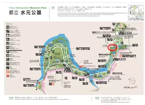 夏休みの自由研究は水元公園で！東京都の天然記念物「オニバス」を親子で観察しよう！(小学３年生以上対象)