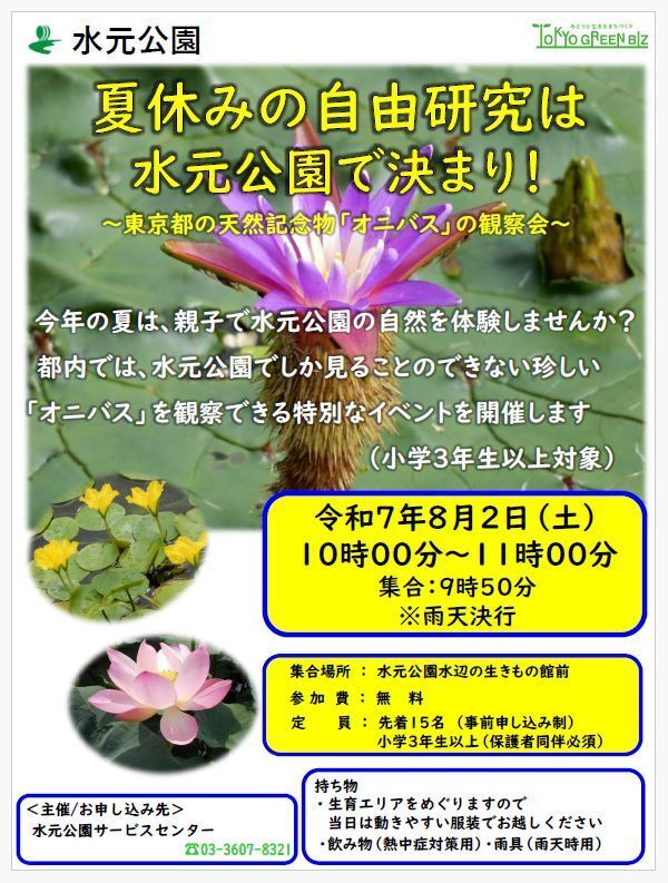 夏休みの自由研究は水元公園で！東京都の天然記念物「オニバス」を親子で観察しよう！(小学３年生以上対象)