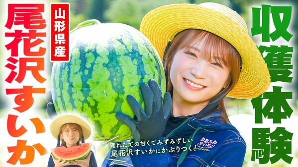秋元真夏が山形県で尾花沢すいかを収穫！ シャリ感と甘さが魅力の夏すいかにかぶりつく