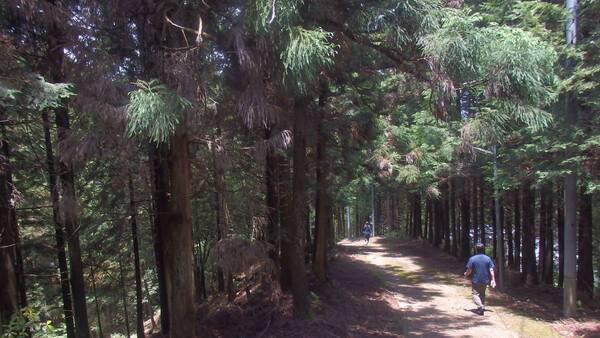 大阪国際大学「京都府南山城村活性化プロジェクト」で学生の新たな挑戦ー広域周遊型の観光ー