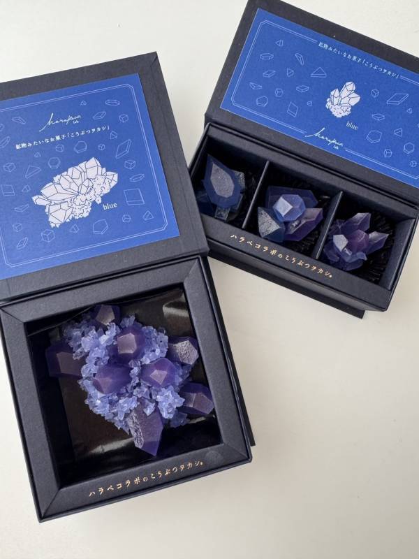 “推し色”で楽しむ宝石菓子。全10色展開の琥珀糖ボックスが登場！2025年8月8日(金)より期間限定予約開始