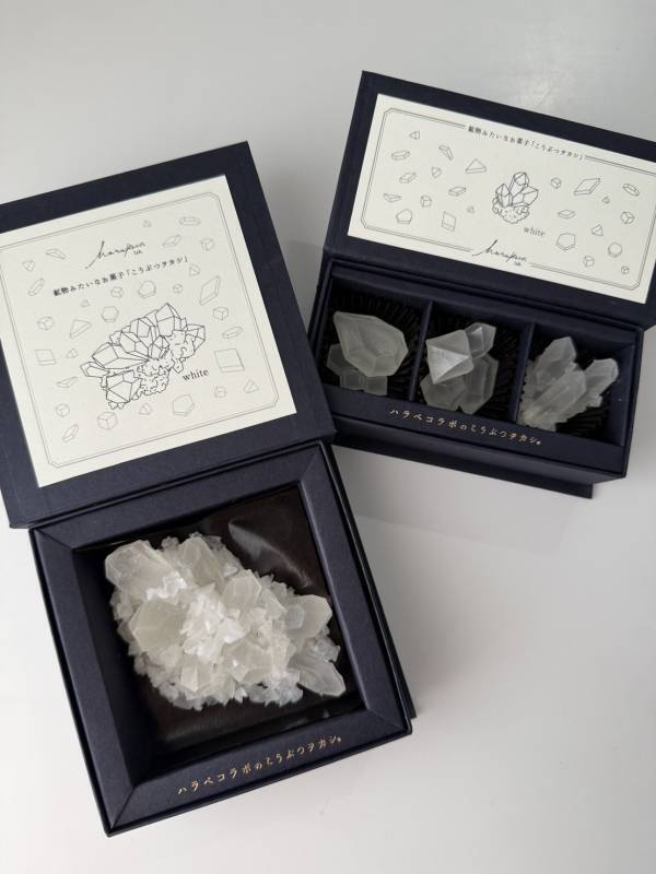 “推し色”で楽しむ宝石菓子。全10色展開の琥珀糖ボックスが登場！2025年8月8日(金)より期間限定予約開始