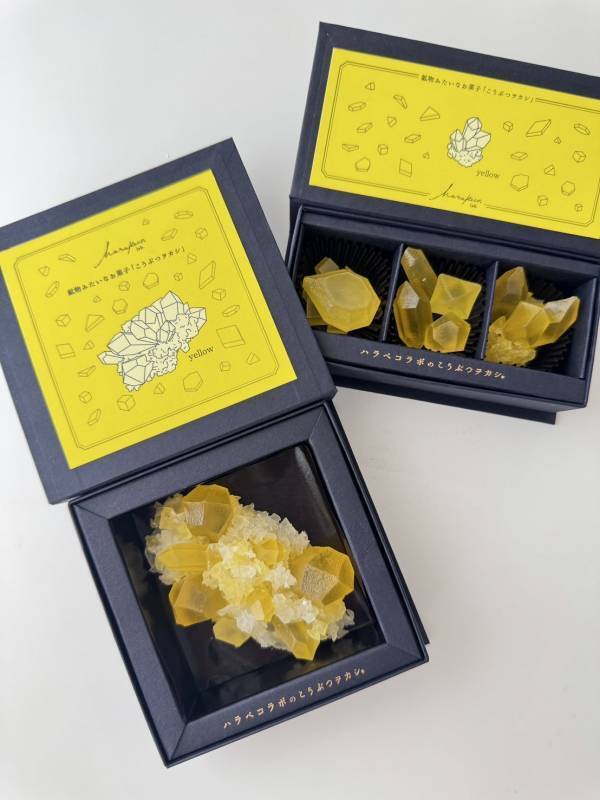 “推し色”で楽しむ宝石菓子。全10色展開の琥珀糖ボックスが登場！2025年8月8日(金)より期間限定予約開始
