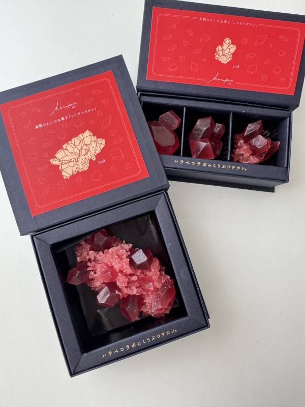 “推し色”で楽しむ宝石菓子。全10色展開の琥珀糖ボックスが登場！2025年8月8日(金)より期間限定予約開始