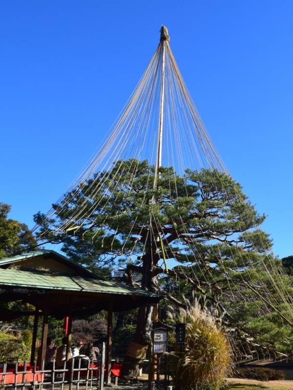 和歌の聖地・和歌の浦誕生1300年記念「六義園文化祭」開催のお知らせ｜2月18日(火)から24日(月・休)まで