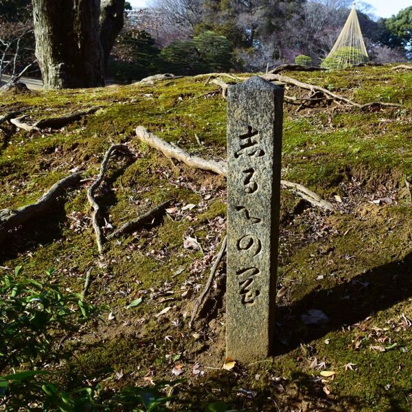 和歌の聖地・和歌の浦誕生1300年記念「六義園文化祭」開催のお知らせ｜2月18日(火)から24日(月・休)まで