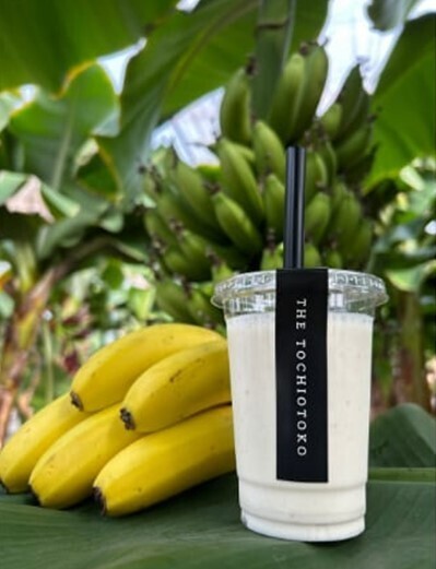 夏休みのクライマックスは那須千本松牧場で！ 「夏フェス2025」お盆限定イベントを開催 ～かき氷祭り×ひんやり体験×親子ワークショップで五感が喜ぶ夏へ～