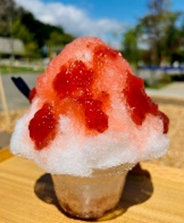 夏休みのクライマックスは那須千本松牧場で！ 「夏フェス2025」お盆限定イベントを開催 ～かき氷祭り×ひんやり体験×親子ワークショップで五感が喜ぶ夏へ～