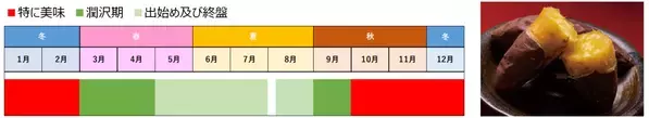 松本まりかさんと料理研究家 浜内千波さんが千葉県産さつまいもの魅力を熱く語る！松本さん「ねっとり感と甘さのバランスが絶妙」とご褒美スイーツを大絶賛！