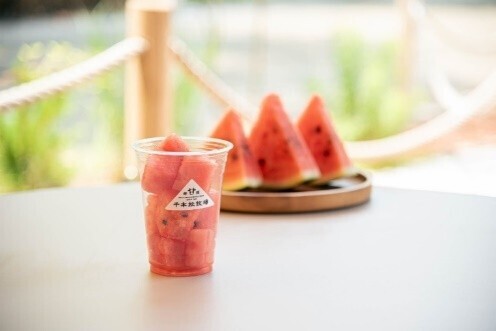 1万人以上が来場する夏の風物詩「とうもろこし巨大迷路」開始那須千本松牧場「夏フェス2025」スタートします