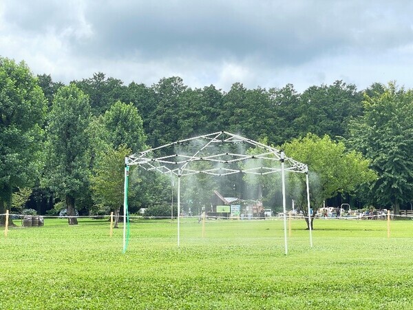 1万人以上が来場する夏の風物詩「とうもろこし巨大迷路」開始那須千本松牧場「夏フェス2025」スタートします