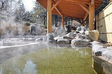 1万人以上が来場する夏の風物詩「とうもろこし巨大迷路」開始那須千本松牧場「夏フェス2025」スタートします