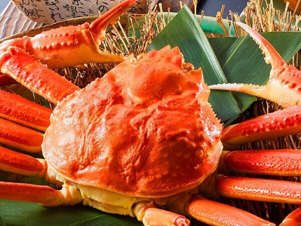 “25歳以下限定”で蟹プレゼント！兵庫・城崎温泉のリゾートホテルにて 卒業旅行応援プラン販売開始｜2025年3月1日～3月31日