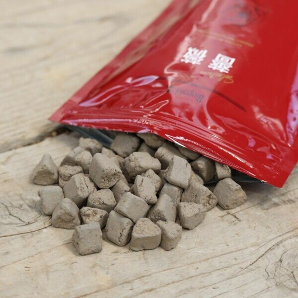 「バラの専門通販サイト『バラと庭あそび』がオープン！」 ～リニューアルオープンセールやバラ苗販売も～