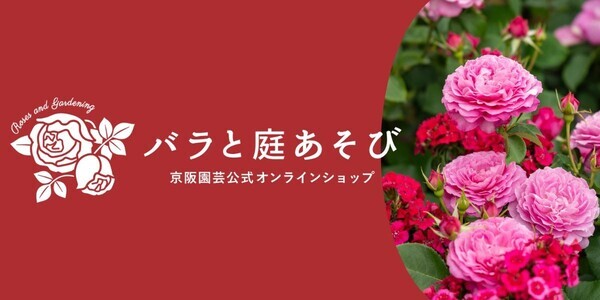 「バラの専門通販サイト『バラと庭あそび』がオープン！」 ～リニューアルオープンセールやバラ苗販売も～