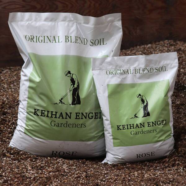 「バラの専門通販サイト『バラと庭あそび』がオープン！」 ～リニューアルオープンセールやバラ苗販売も～