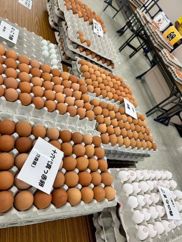 卵フェスin池袋2025 先行チケット発売開始！！