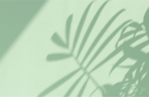 【ふわっと広がる、洗いたての清潔感】『NULL パヒュームクリーム サボン』7月9日より発売開始！