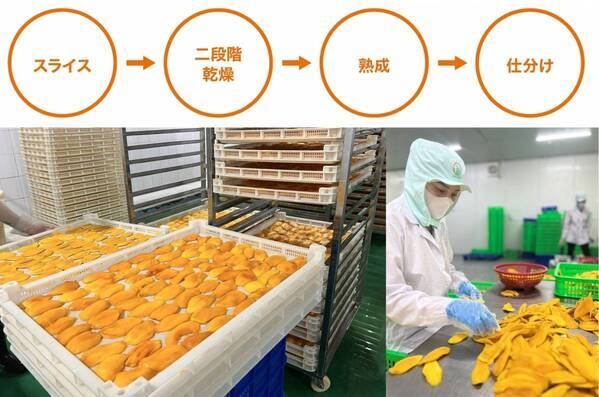 「博士のドライフルーツ」がホテル・レストラン・ショー＆FOODEX JAPAN in 関西 2025に初出展！