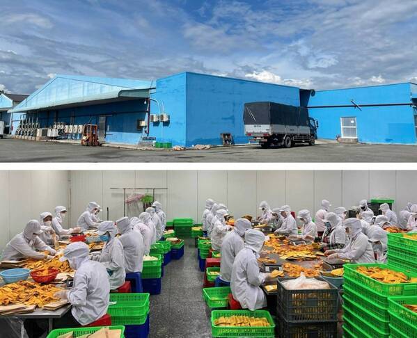 「博士のドライフルーツ」がホテル・レストラン・ショー＆FOODEX JAPAN in 関西 2025に初出展！